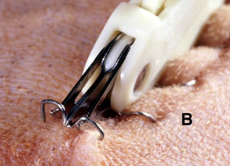 Screenshot_2025-10-08_at_2.49.49â__PM (1).jpg